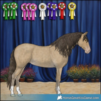 Horse Color:Classic Cream Champagne Roan