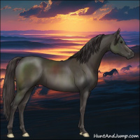 Horse Color:Smoky Black 