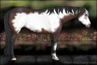 Horse Color:Brown Frame 
