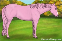 Horse Color:Watercolor Black 