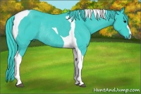 Horse Color:Watercolor Smoky Black Tobiano Rabicano 