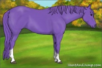 Horse Color:Watercolor Smoky Black Tobiano 