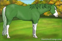 Horse Color:Watercolor Black Splash 