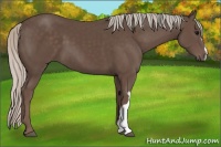 Horse Color:Silver Black 