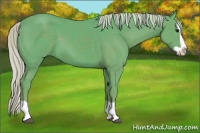 Horse Color:Watercolor Silver Black Splash 