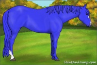 Horse Color:Watercolor Black 