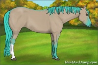 Horse Color:Watercolor Grullo 