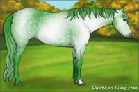 Horse Color:Gray Watercolor Black Appaloosa 