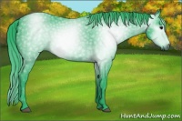 Horse Color:Gray Watercolor Black
