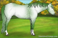 Horse Color:Gray Watercolor Black Tobiano 