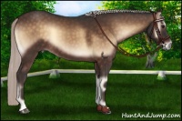 Horse Color:Silver Brown Onyx
