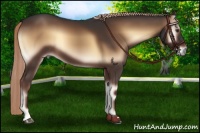 Horse Color:Liver Red Onyx