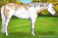 Horse Color:Silver Classic Champagne Splash Frame