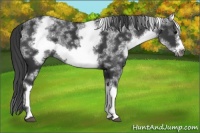 Horse Color:White Spotted Black Frame