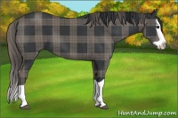 Horse Color:Plaid  Black Splash 