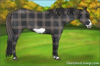 Horse Color:Plaid  Black Frame 