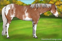 Horse Color:White Spotted Silver Bay Splash Tobiano