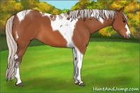 Horse Color:Silver Bay Tobiano 
