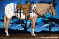 Horse Color:Red Roan Tobiano Appaloosa 