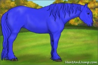 Horse Color:Watercolor Black 