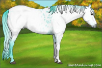 Horse Color:Gray Watercolor Black Appaloosa Rabicano 