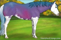 Horse Color:Watercolor Brown Splash 