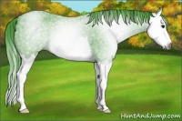Horse Color:Gray Watercolor Blue Roan Splash Rabicano 