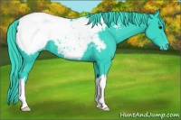 Horse Color:Watercolor Black Appaloosa 