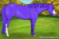 Horse Color:Watercolor Black Appaloosa 