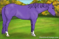 Horse Color:Watercolor Smoky Black 