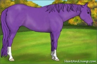 Horse Color:Watercolor Smoky Black