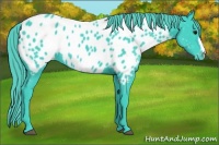 Horse Color:Watercolor Smoky Black Appaloosa 