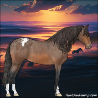 Horse Color:Bay Roan Varnish 