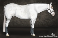 Horse Color:Liver Red Dun Sabino 