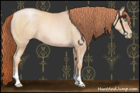 Horse Color:Sable Champagne Pearl 