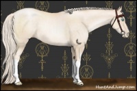 Horse Color:Gold Cream Champagne Pearl
