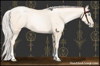 Horse Color:Silver Classic Cream Champagne Pearl