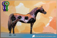 Horse Color:Void Watercolor White Spotted Liver Red Onyx Splash Tobiano 