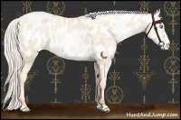 Horse Color:Silver Classic Cream Champagne Pearl Near Leopard