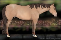 Horse Color:Sable Champagne Rabicano