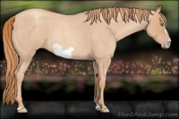 Horse Color:Gold Champagne Roan Frame
