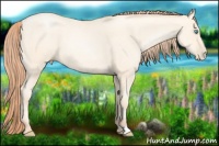 Horse Color:Amber Cream Champagne Pearl 