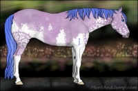 Horse Color:Watercolor Buckskin Sabino Splash 