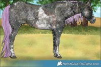 Horse Color:Painted Watercolor Liver Red Onyx Ice Mushroom Sabino Tobiano