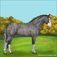 Horse Color:Smoky Blue Roan Splash Tobiano 