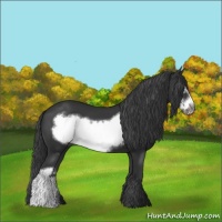 Horse Color:Black Frame 