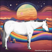 Horse Color:Blue Roan Appaloosa 