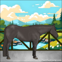 Horse Color:Smoky Black Rabicano 