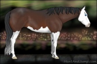 Horse Color:Brown Splash 