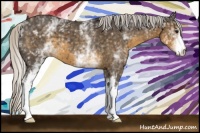 Horse Color:White Spotted Silver Smoky Blue Roan 